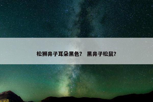 松狮鼻子耳朵黑色？ 黑鼻子松鼠？