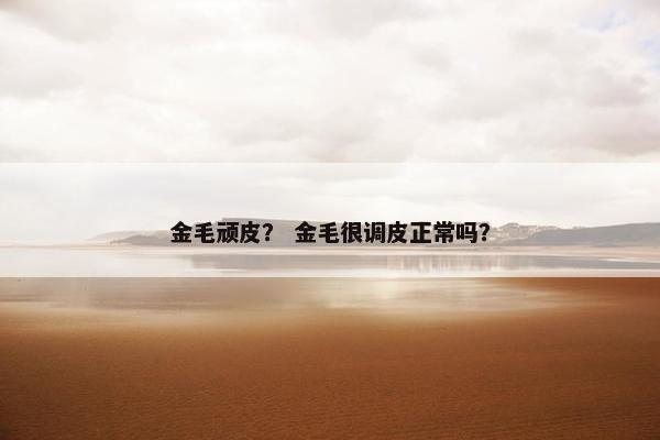 金毛顽皮？ 金毛很调皮正常吗？