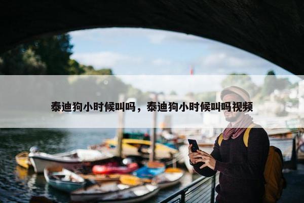 泰迪狗小时候叫吗，泰迪狗小时候叫吗视频