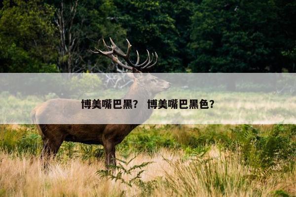 博美嘴巴黑？ 博美嘴巴黑色？