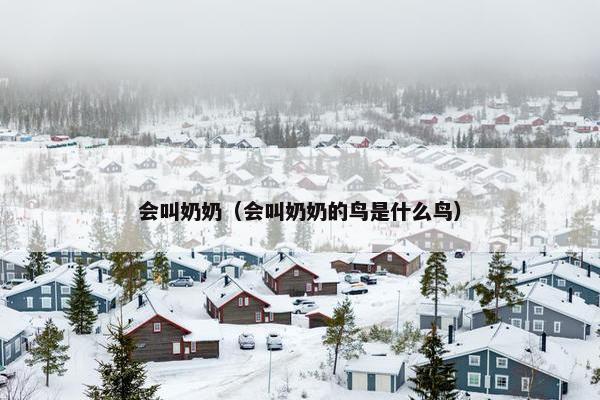 会叫奶奶（会叫奶奶的鸟是什么鸟）