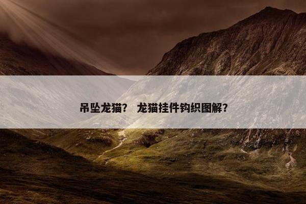 吊坠龙猫？ 龙猫挂件钩织图解？