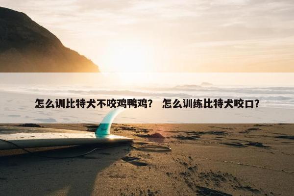 怎么训比特犬不咬鸡鸭鸡？ 怎么训练比特犬咬口？