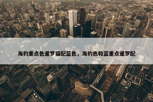 海豹重点色暹罗猫配蓝色，海豹色和蓝重点暹罗配