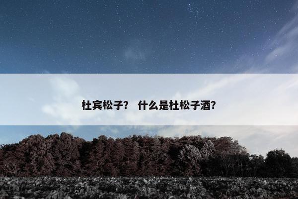 杜宾松子？ 什么是杜松子酒？