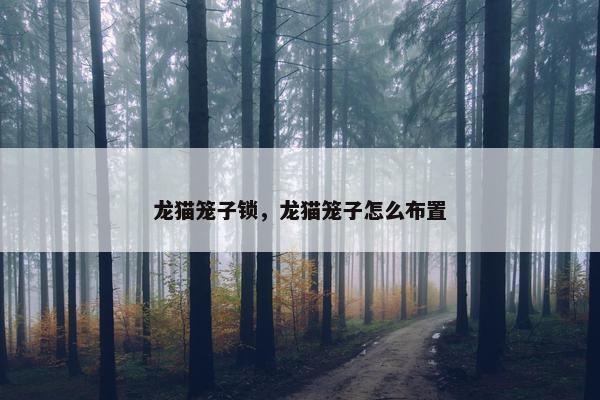 龙猫笼子锁，龙猫笼子怎么布置