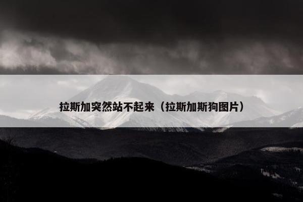 拉斯加突然站不起来（拉斯加斯狗图片）