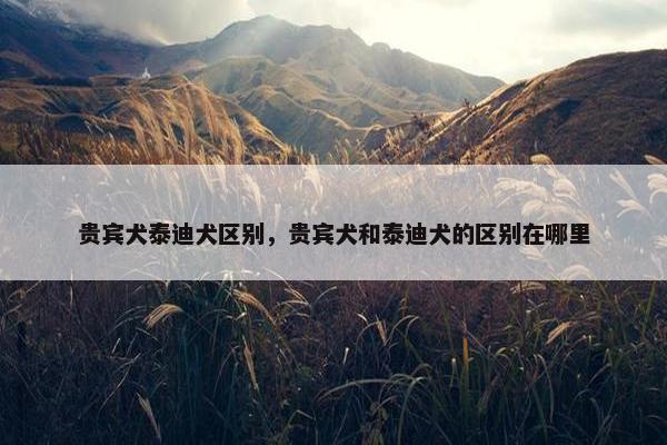贵宾犬泰迪犬区别，贵宾犬和泰迪犬的区别在哪里