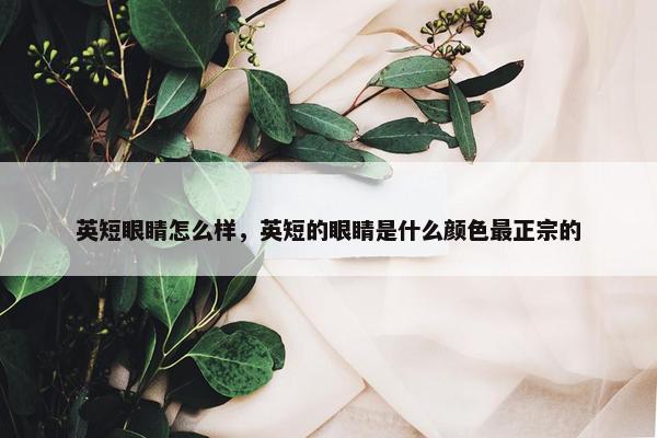 英短眼睛怎么样，英短的眼睛是什么颜色最正宗的