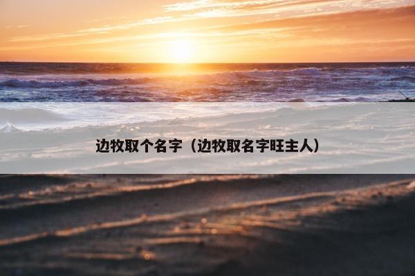 边牧取个名字（边牧取名字旺主人）