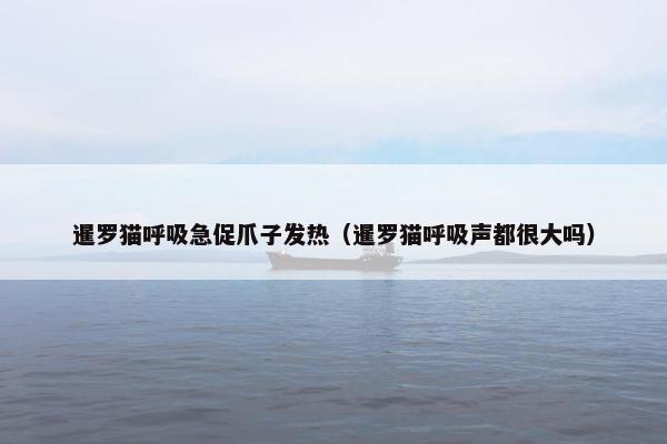 暹罗猫呼吸急促爪子发热（暹罗猫呼吸声都很大吗）