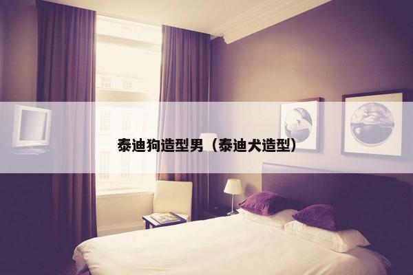 泰迪狗造型男（泰迪犬造型）