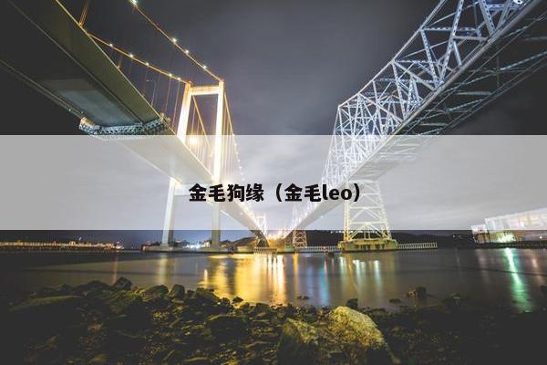 金毛狗缘（金毛leo）