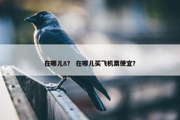 在哪儿8？ 在哪儿买飞机票便宜？