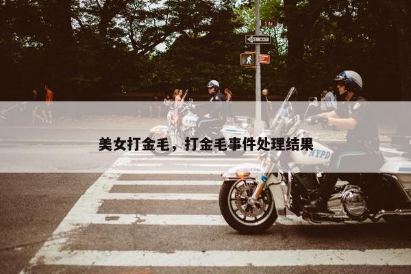 美女打金毛，打金毛事件处理结果
