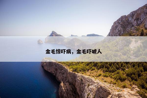金毛惊吓病，金毛吓唬人