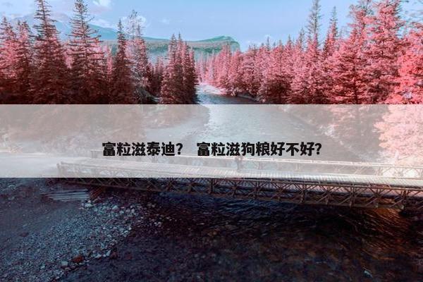 富粒滋泰迪？ 富粒滋狗粮好不好？