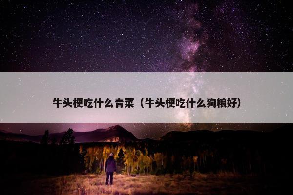 牛头梗吃什么青菜（牛头梗吃什么狗粮好）