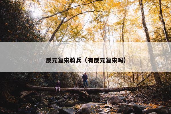 反元复宋骑兵（有反元复宋吗）