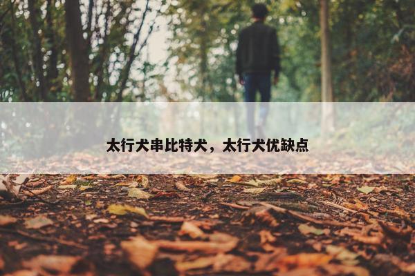 太行犬串比特犬，太行犬优缺点