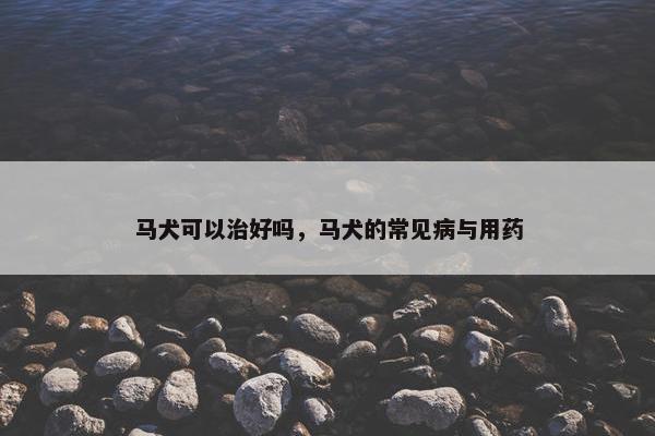 马犬可以治好吗，马犬的常见病与用药