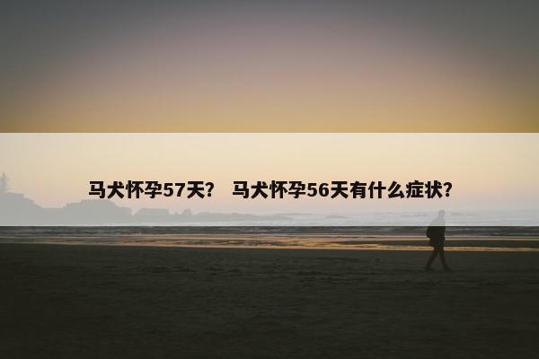 马犬怀孕57天？ 马犬怀孕56天有什么症状？