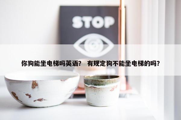 你狗能坐电梯吗英语？ 有规定狗不能坐电梯的吗？