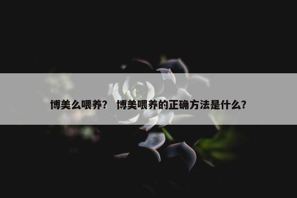 博美么喂养？ 博美喂养的正确方法是什么？