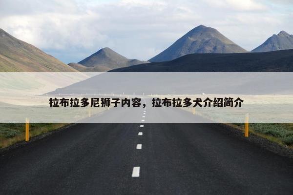 拉布拉多尼狮子内容，拉布拉多犬介绍简介