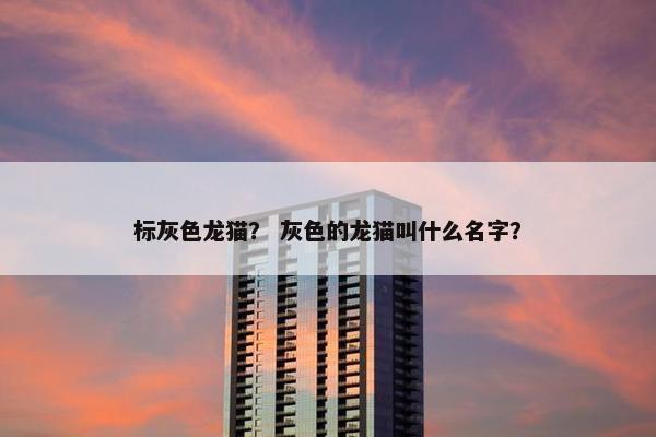 标灰色龙猫？ 灰色的龙猫叫什么名字？