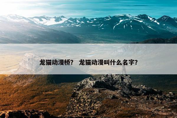 龙猫动漫桥？ 龙猫动漫叫什么名字？
