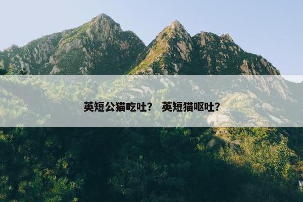 英短公猫吃吐？ 英短猫呕吐？