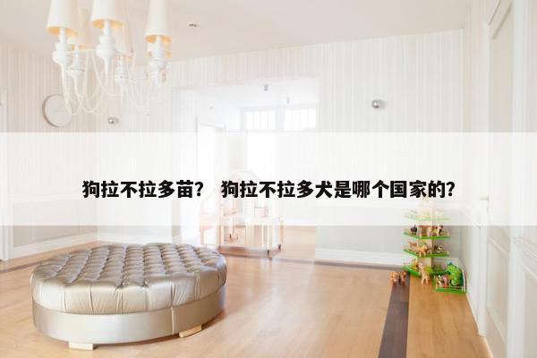 狗拉不拉多苗？ 狗拉不拉多犬是哪个国家的？