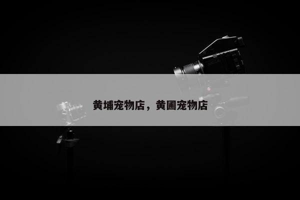 黄埔宠物店，黄圃宠物店