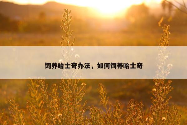 饲养哈士奇办法，如何饲养哈士奇
