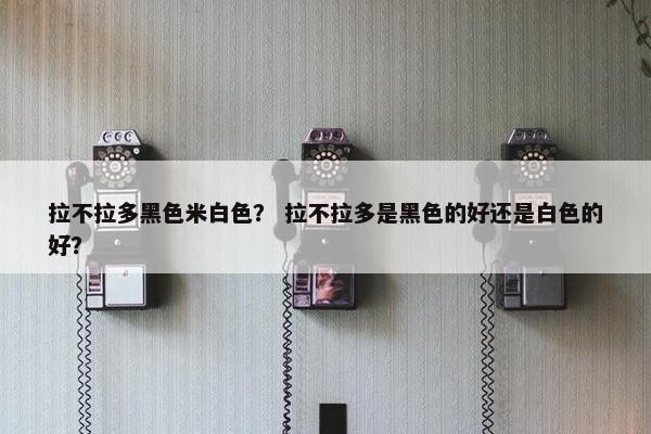 拉不拉多黑色米白色？ 拉不拉多是黑色的好还是白色的好？