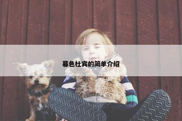暮色杜宾的简单介绍