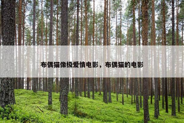 布偶猫像极爱情电影，布偶猫的电影