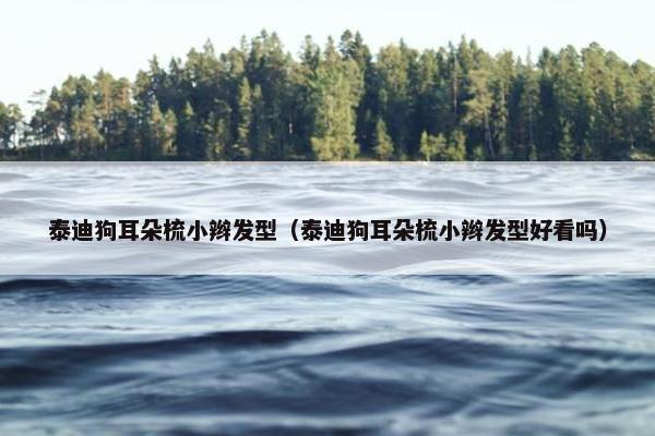 泰迪狗耳朵梳小辫发型（泰迪狗耳朵梳小辫发型好看吗）