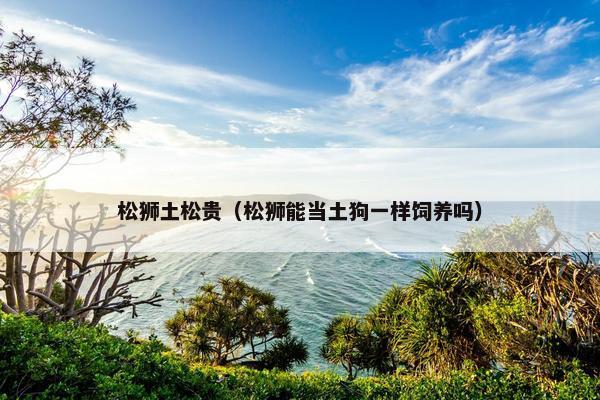 松狮土松贵（松狮能当土狗一样饲养吗）
