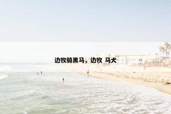 边牧骑黑马，边牧 马犬