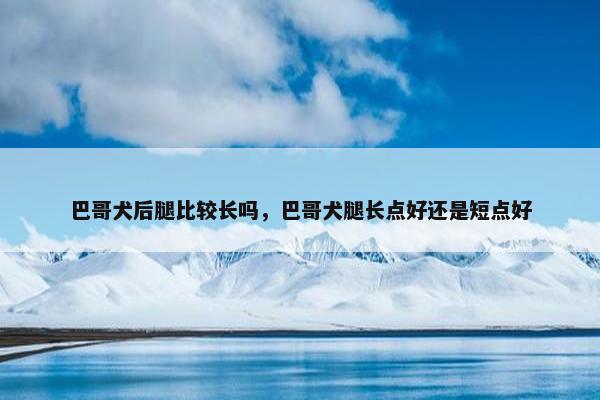 巴哥犬后腿比较长吗，巴哥犬腿长点好还是短点好