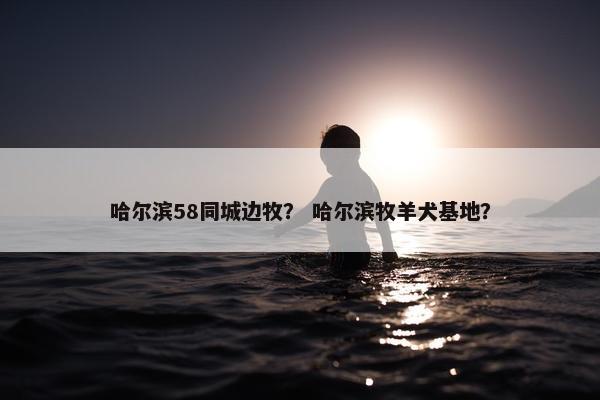 哈尔滨58同城边牧？ 哈尔滨牧羊犬基地？