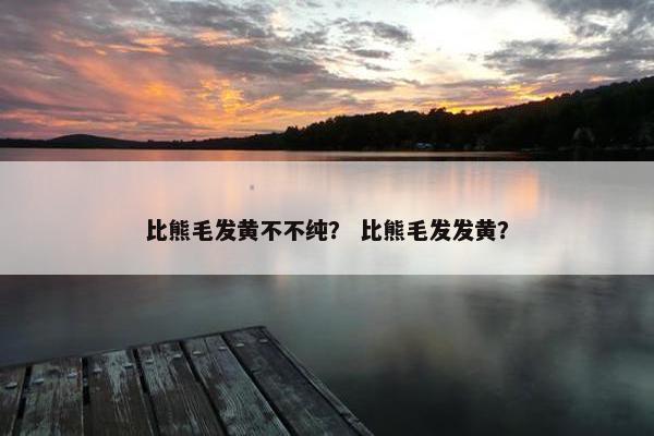 比熊毛发黄不不纯？ 比熊毛发发黄？