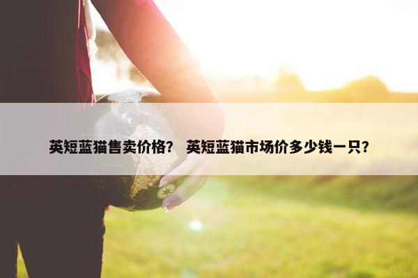 英短蓝猫售卖价格？ 英短蓝猫市场价多少钱一只？