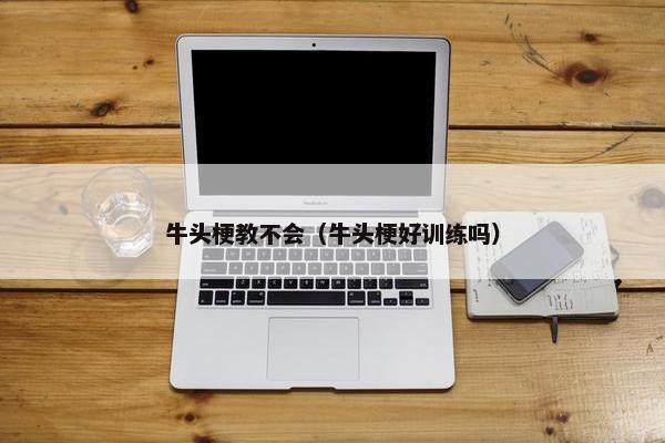 牛头梗教不会（牛头梗好训练吗）