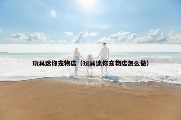 玩具迷你宠物店（玩具迷你宠物店怎么做）
