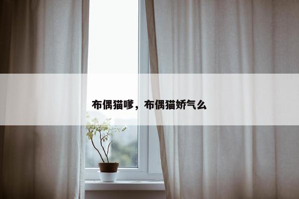 布偶猫嗲，布偶猫娇气么