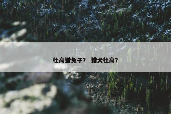 杜高猎兔子？ 猎犬杜高？