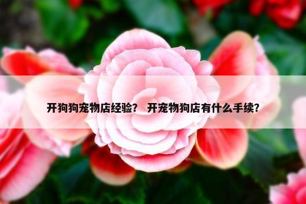开狗狗宠物店经验？ 开宠物狗店有什么手续？